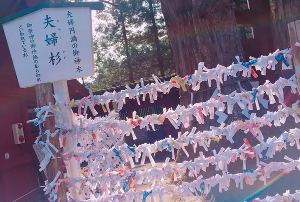 日光二荒山神社の写真・動画_image_153795