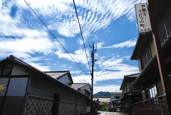 うだつが上がる美濃の町並みの写真・動画_image_153811