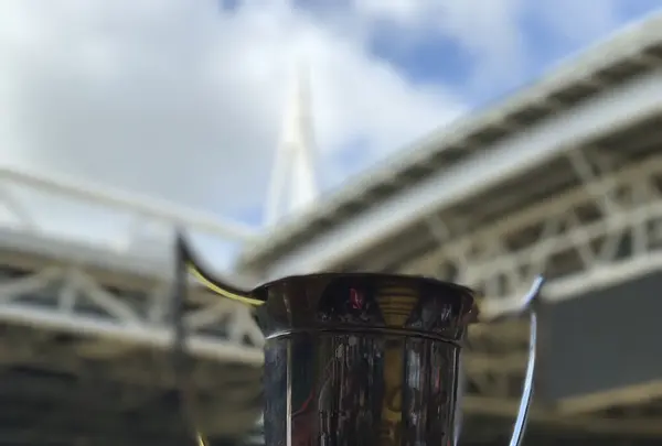 ミレニアム・スタジアムの写真・動画_image_153915