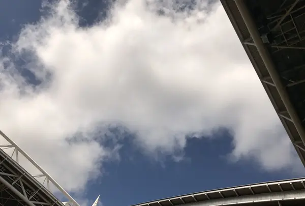 ミレニアム・スタジアムの写真・動画_image_153916