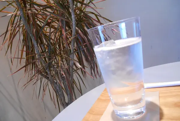 TOGETSU CAFEの写真・動画_image_153979