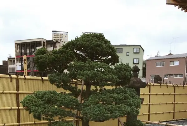 長明寺の写真・動画_image_154045