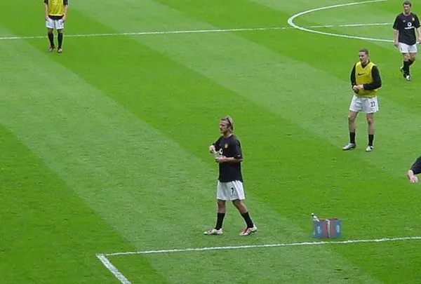 ホワイト・ハート・レーンの写真・動画_image_154200