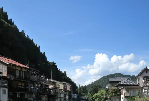 川に挟まれた水の町「郡上」の写真・動画_image_154324