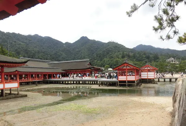厳島神社の写真・動画_image_154327