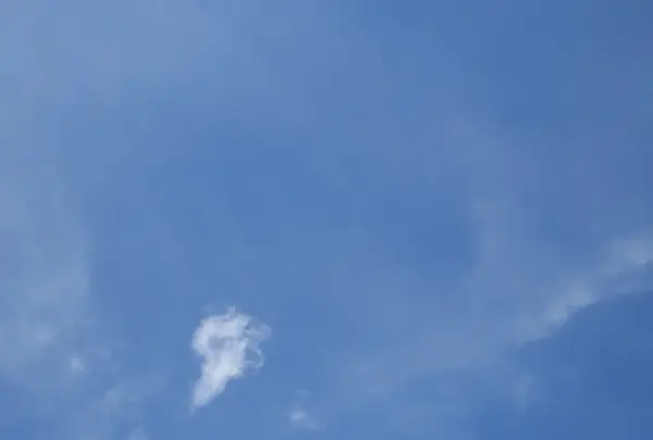 郡上八幡城の写真・動画_image_154329