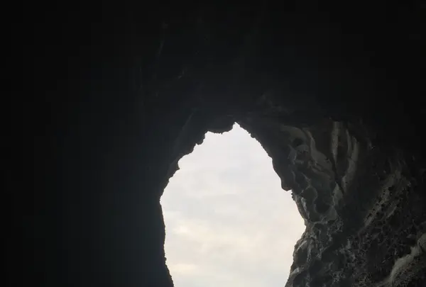 加賀神社の写真・動画_image_154340