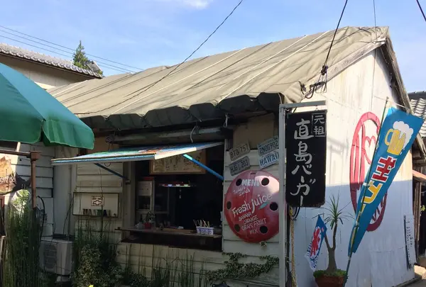 マイマイ （maimai）の写真・動画_image_154377