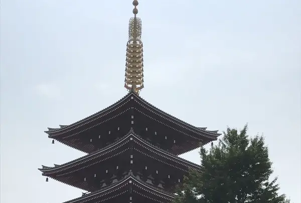 浅草の写真・動画_image_154561