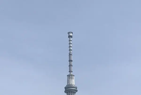 浅草の写真・動画_image_154566