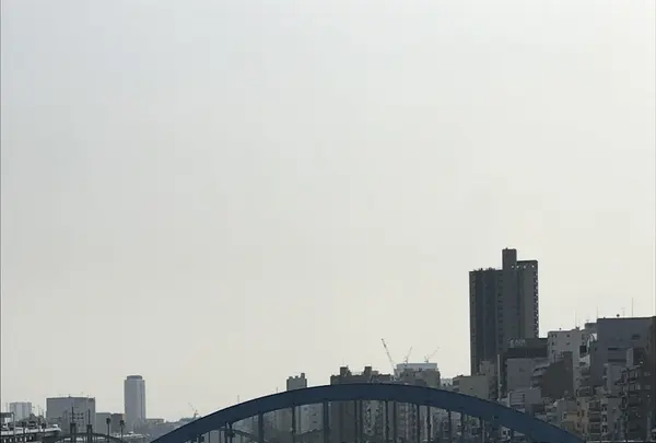 隅田川の写真・動画_image_154578