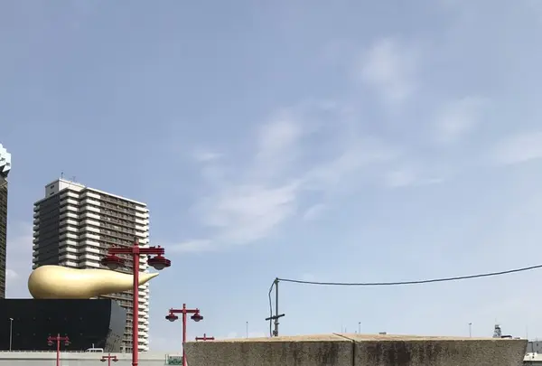 隅田川の写真・動画_image_154580