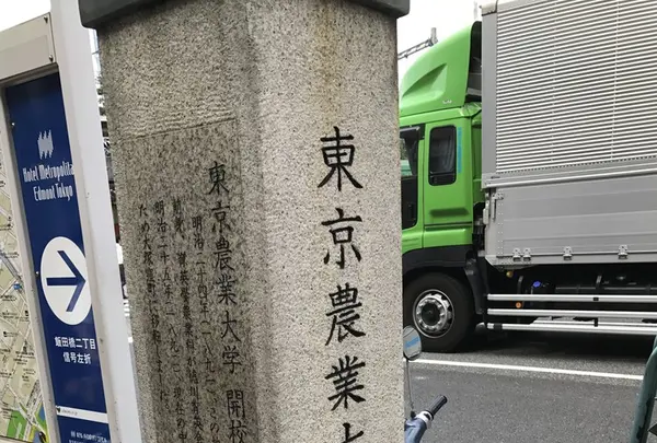 東京大神宮の写真・動画_image_154585