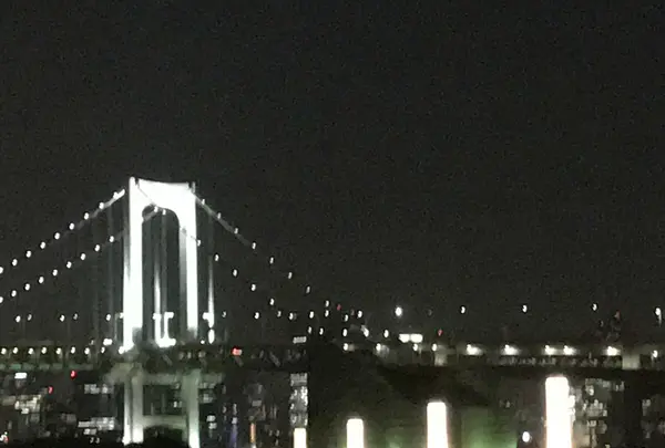 お台場の写真・動画_image_154681