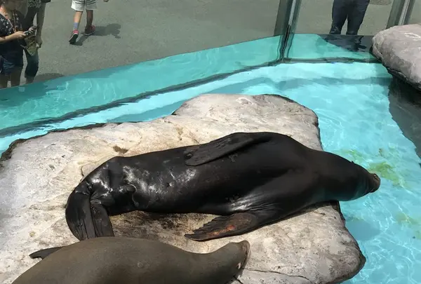 上野動物園の写真・動画_image_154700