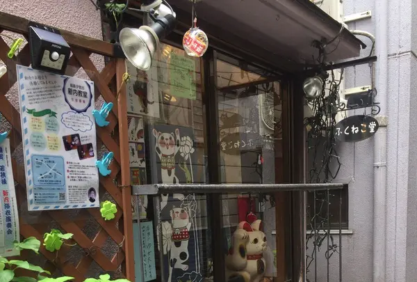 ふくねこ堂の写真・動画_image_154937