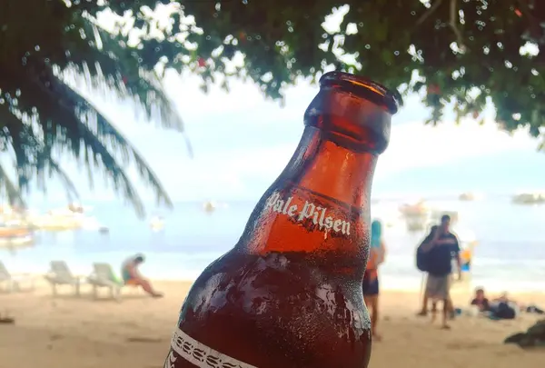 アロナ・ビーチの写真・動画_image_155163