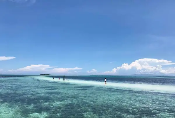 フィリピン ボホール島の写真・動画_image_155170