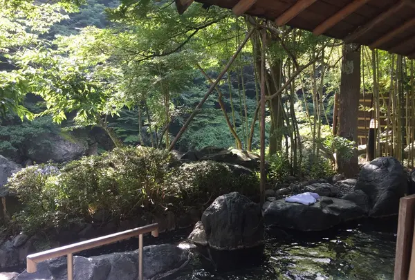 西山温泉 慶雲館の写真・動画_image_155212