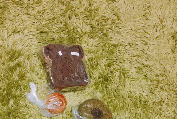 石窯パン工房 プースの写真・動画_image_155231