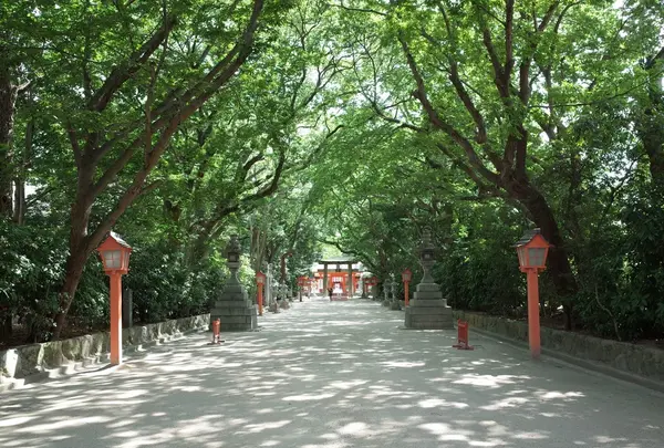 住吉大社の写真・動画_image_155613