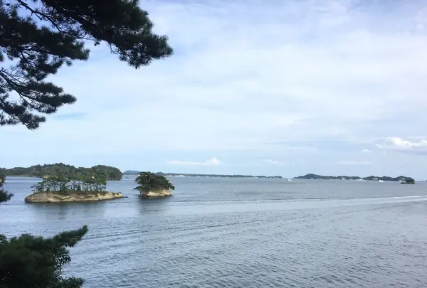 松島蒲鉾本舗 松かま 五大堂店の写真・動画_image_155641