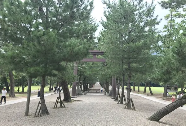 出雲大社の写真・動画_image_155672