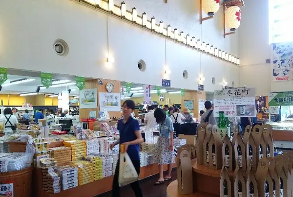 越後妻有里山現代美術館キナーレの写真・動画_image_155759