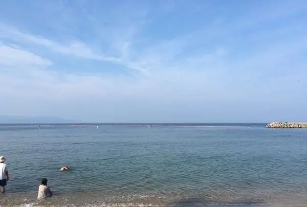 夢海游 淡路島の写真・動画_image_155796