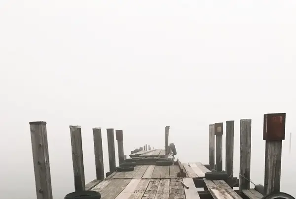 中禅寺湖の写真・動画_image_155803