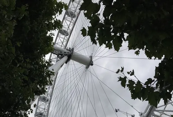 ロンドン・アイの写真・動画_image_155858