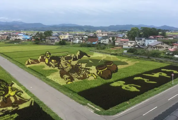 田んぼアートの写真・動画_image_155983