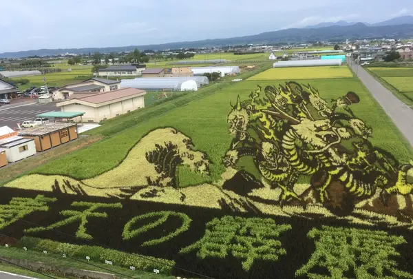 田んぼアートの写真・動画_image_155984