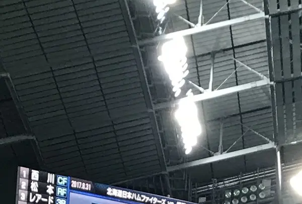 札幌ドームの写真・動画_image_156010
