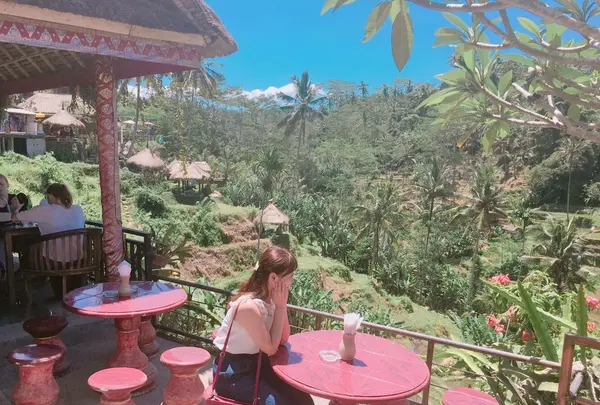 Tegallalangの写真・動画_image_156024