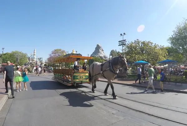 ディズニーランド・リゾートの写真・動画_image_156065
