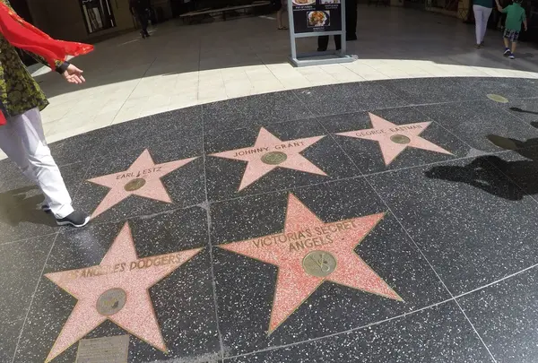 ハリウッド・ウォーク・オブ・フェームの写真・動画_image_156331