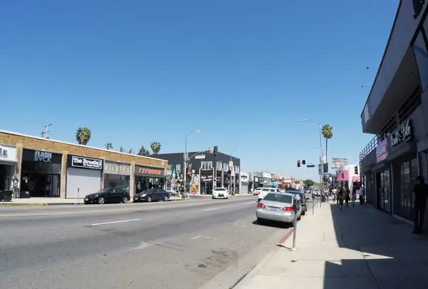 Melrose Avenueの写真・動画_image_156341