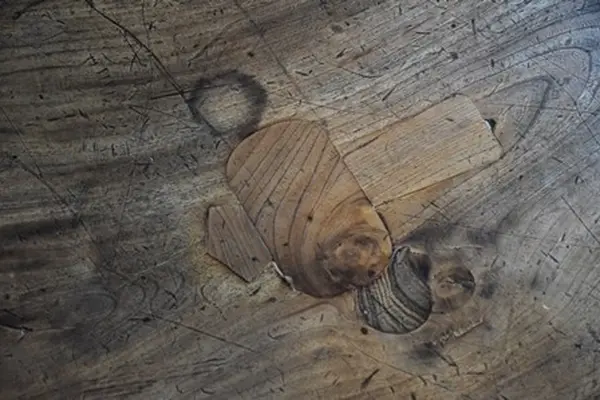 西福寺 開山堂の写真・動画_image_156398