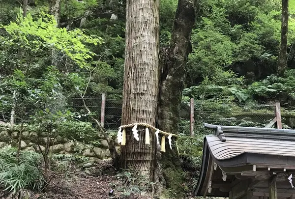 貴船神社 奥宮の写真・動画_image_156447