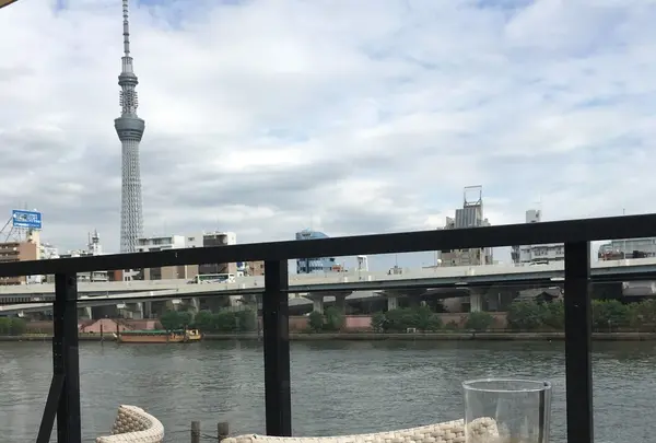 ボン花火の写真・動画_image_156552