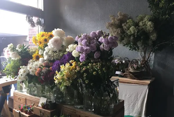 from afar（フロムアファー ）の写真・動画_image_156561