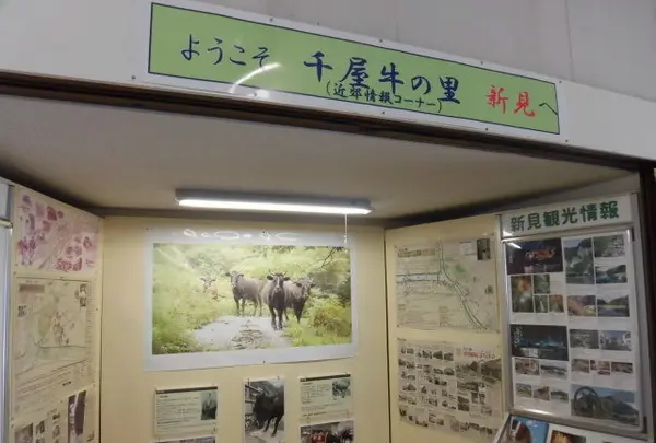 新見駅の写真・動画_image_156602