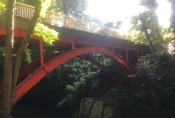 等々力渓谷の写真・動画_image_156607