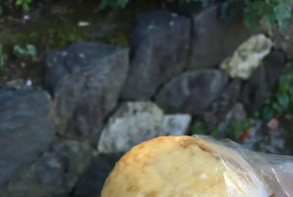 川西屋 本店の写真・動画_image_156625