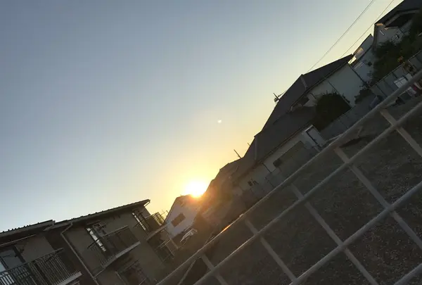 ジョナサン 杉並梅里店の写真・動画_image_156656