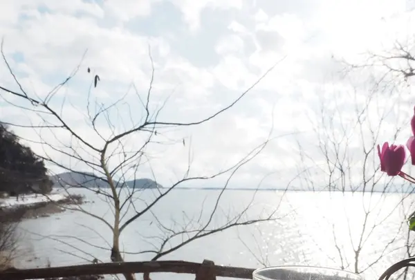 シャーレ水ケ浜の写真・動画_image_156789