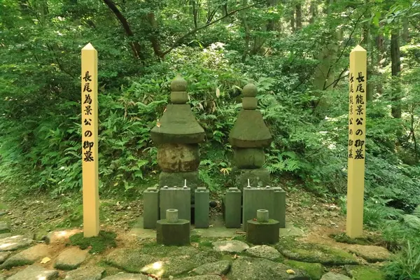 林泉寺の写真・動画_image_157211