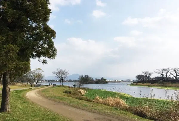 上からの続き