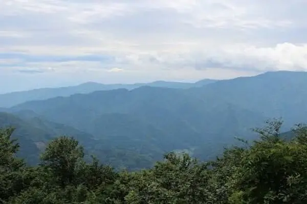 利賀村の写真・動画_image_157475